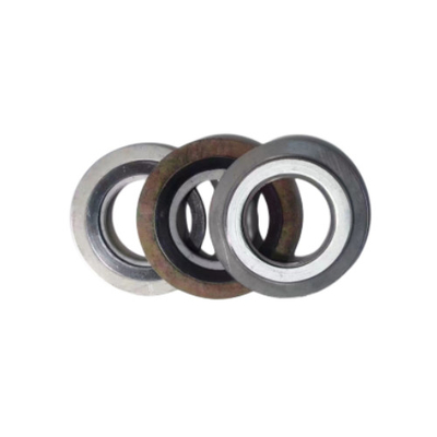 Gaxeta padrão de selagem Dn1000 da ferida do metal das BS da espiral